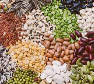 Seven Common Reasons Your Seeds Are Not Germinating